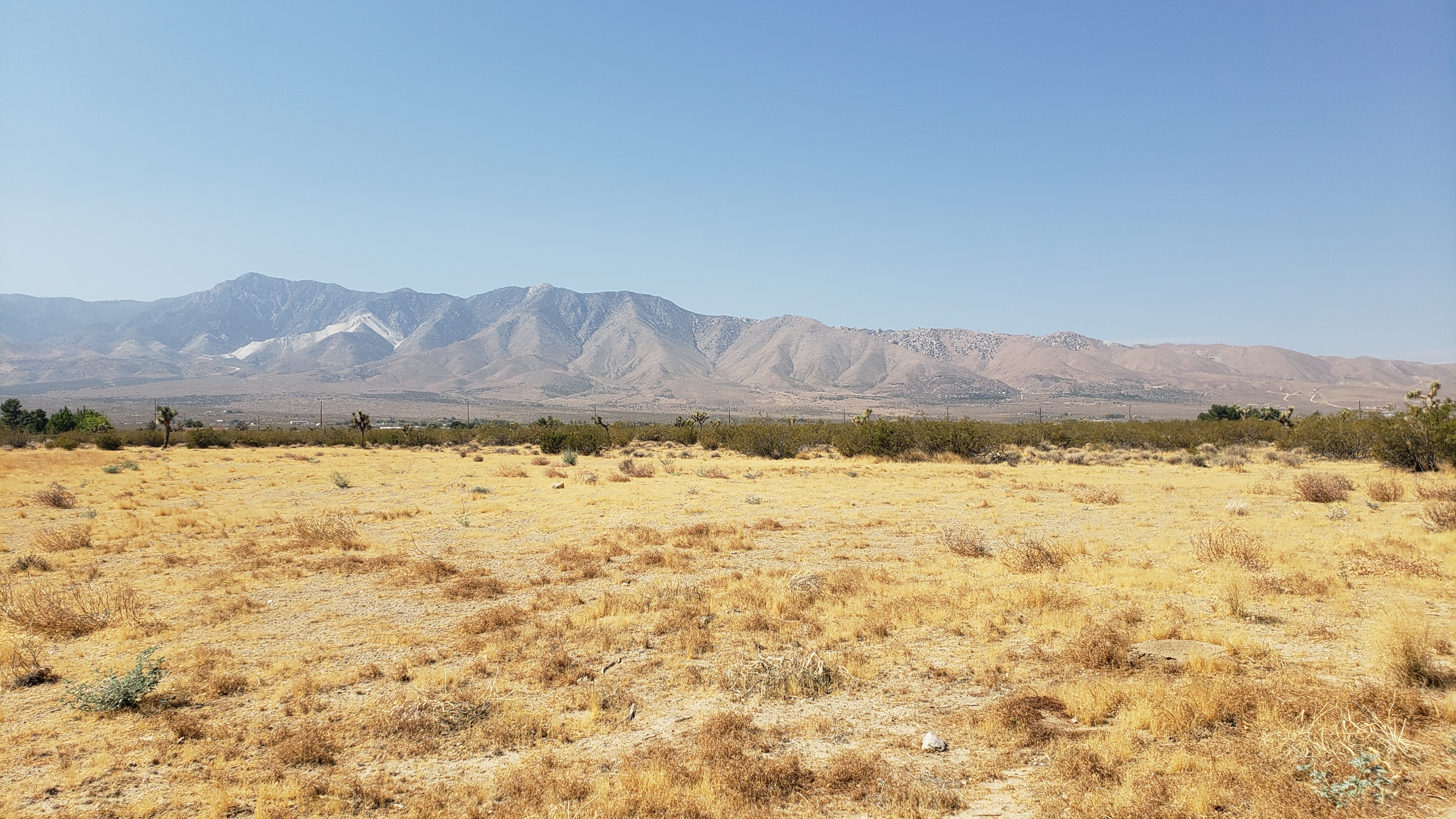 Land for sale in Lucerne Valley California with open desert acreage and High Desert views