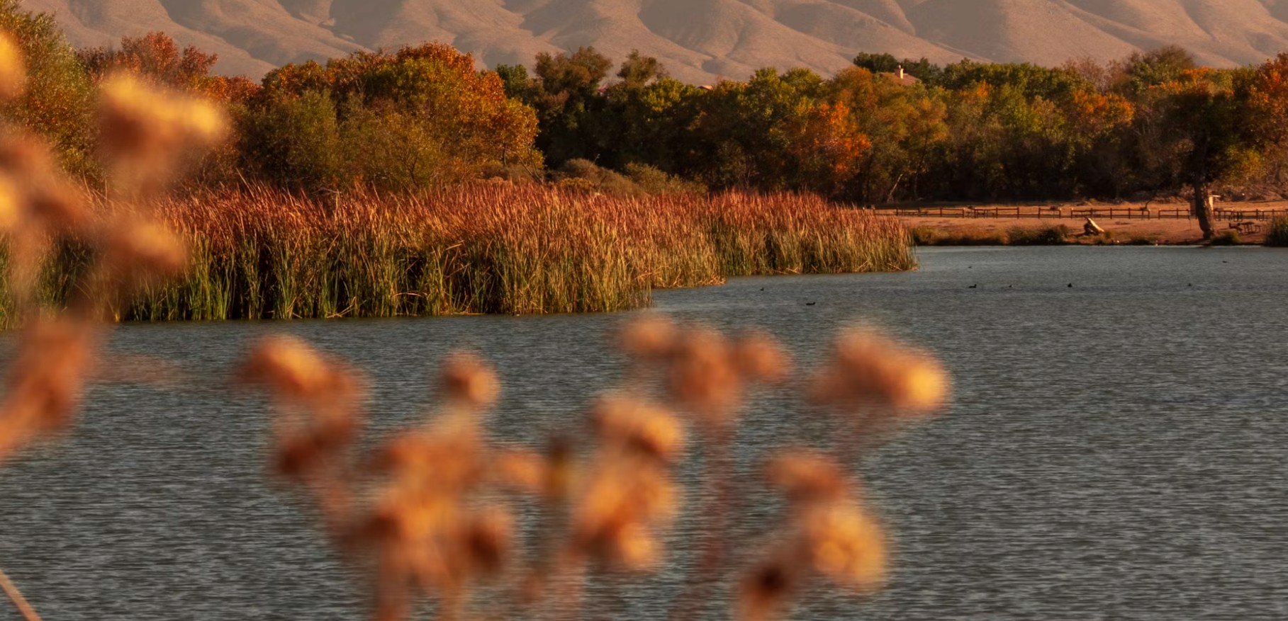 Mojave Narrows Victorville water and mountains
